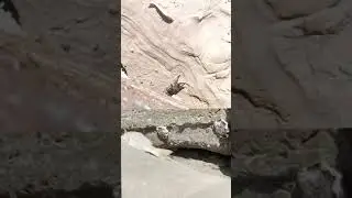 когда совсем скучно, можно всем семейством снять триллер, почти в 4д. Не хуже Спилберга.