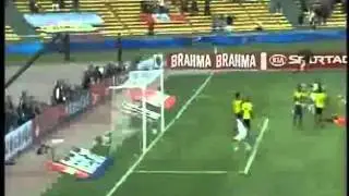 COPA AMERICA 2011 Los mejores goles de PERU