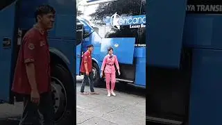 Sudah di kasih pramugari untuk unit yang eks pandawa #shortvideo #shorts #pramugaribus #fypシ゚viral