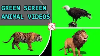 Free Download Green Screen Animals Animation Videos | No Copyright Videos