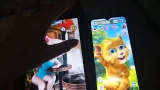 Talking Angela & Talking Ginger Birthday 2 Echo 1859