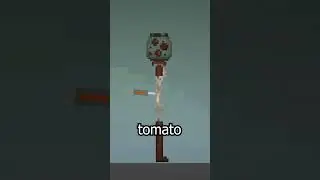 SECRET FACTS in Melon Playground