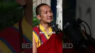 Why Everyone Must Turn Vegetarian? Monk Explains 