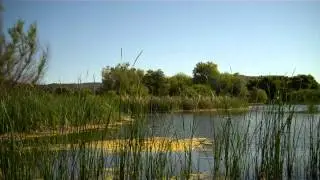 Forgiveness Meditation (becoming the observer)