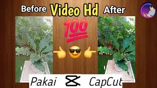 Cara Mengubah Video Menjadi HD di Capcut | TIPS Terbaru 2024