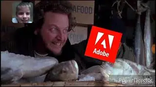 Реакция на бездомный 2