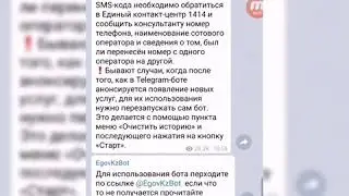 Как получить справку через телеграм егов.кз. Услуги цона через бот в телеграм