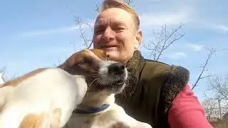Продовжую наводити порядок, Рекс із бандою крутитися під ногами.