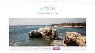 Birch - A Responsive WordPress Theme