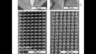 Fabrication and replica molding of 3D carbon nanotube microstructures