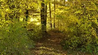 Lumières et couleurs d'automne 2025