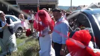 Martesa Ardiani & Shkurta - Dasma Shqiptare (MPP)