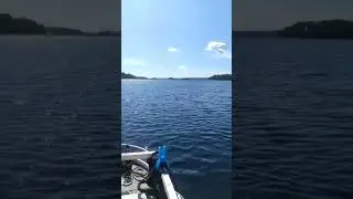 Many😱 #ducks #shortsvideo #ytshorts #yt #ytviral #lake