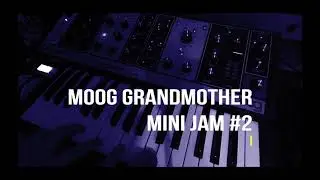 Epic Synth Odyssey: Moog Grandmother Mini Jam #2 (2024)