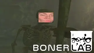 boner laboratory experience