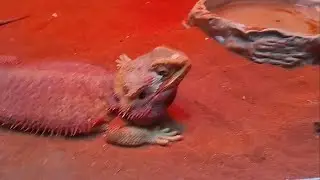 Я в океанариуме 3