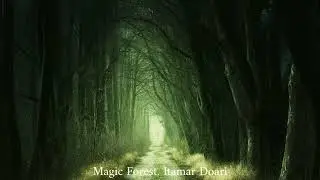 MAGIC FOREST BY ITAMAR DOARI NCS BACKGROUND MUSIC NO COPYRIGHT MUSIC
