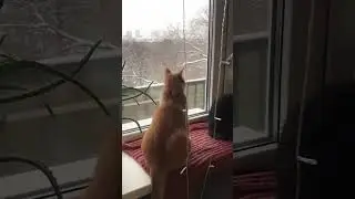 Как погода, брат?