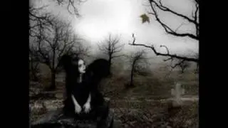 Evanescence Haunted