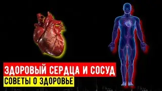 Соблюдайте эти правила Сердце будет работать как ЧАСЫ. Полезные советы для сердца и сосудов!