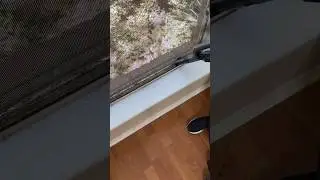 Window Cleaning 