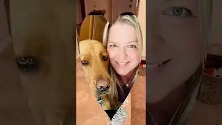 Teach your dog to talk