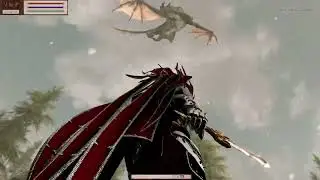 Me slaying a dragon