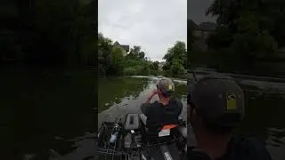Encore une victime du cranckbait B-Switcher 2.0