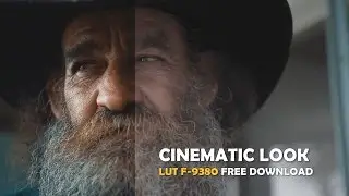 Cinematic Look with LUT F-9380 download (canon 60d and Blackmagic Cameras)