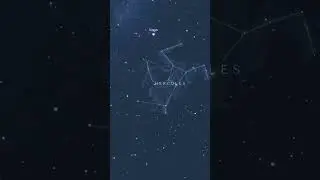 The stars in Dolj