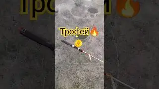 Трофей, так трофей😄💪Кто потерял?) #зимняярыбалка #shorts #трофей