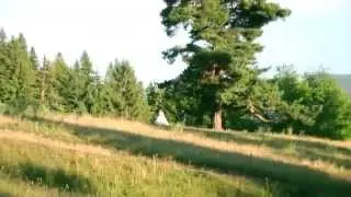 Intro nunta Andreea si Teodor