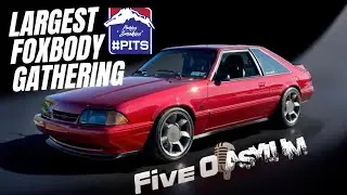 Five O Asylums largest Foxbody gathering at Ponies in the Smokies 2025