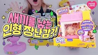 [SUB] baby rabbits are born?!! Toy Unboxing🐰✨