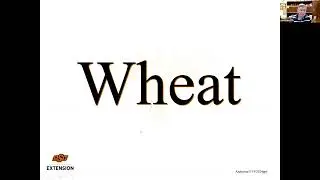Crop Market Situation and Timing Sells webinar 5-14-24