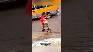 Самые преданные друзья! Которые любят тебя просто за то , что ты есть 😊