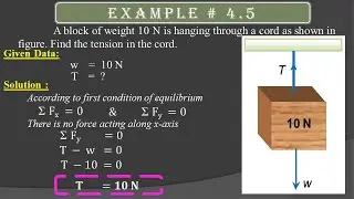 First Condition of Equilibrium & Exp 4.5