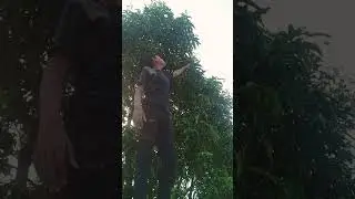 Brightness Kam Karo Na Thoda 🤣 New Comedy Video 😂 New Funny Video #funnyvideo #shortsvideo #shorts