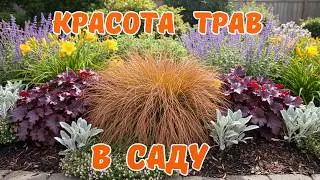 🌾💖Европейские тренды: злаки и травы, которые изменили подход к саду🌺