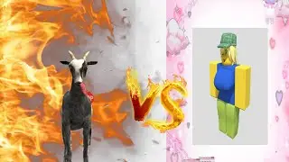 Pilgor (PRIME) vs R63