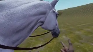 VR Game Dev- I made a horse!
