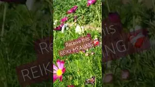 Receive this REIKI HEALING 🙌✨♥️🙏 