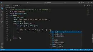 Hollow rectangular Star 🌟 Pattern || In C++.