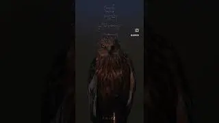 Fadaei - Tavaf 🦅 | #typography #rapfarsi #rap #fadaei #moltafet #hagh #021 #tehran #diss #mahdiyar