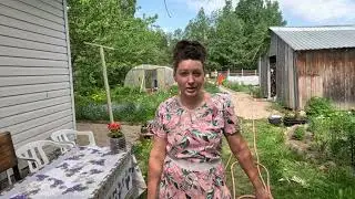 Теперь рассаду томатов буду сажать только так!