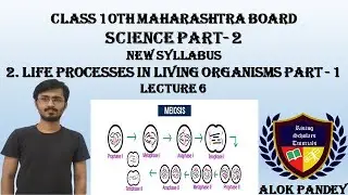Meiosis | Types of Cell Division: An Essential Life Process | Living Organisms | RST |By Alok Pandey