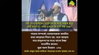 ফুলতলি পীড়ের দাবি হল পীড়রা ও গায়েব জানে, জবাব দিচ্ছে আইনুল হুদা দুজনেই ব্রেলবি,,