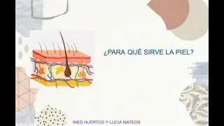 ¿Para qué sirve la Piel?