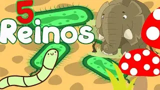 LOS REINOS DE LA NATURALEZA l 5 reinos de la naturaleza para niños