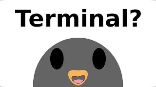 What is a terminal program